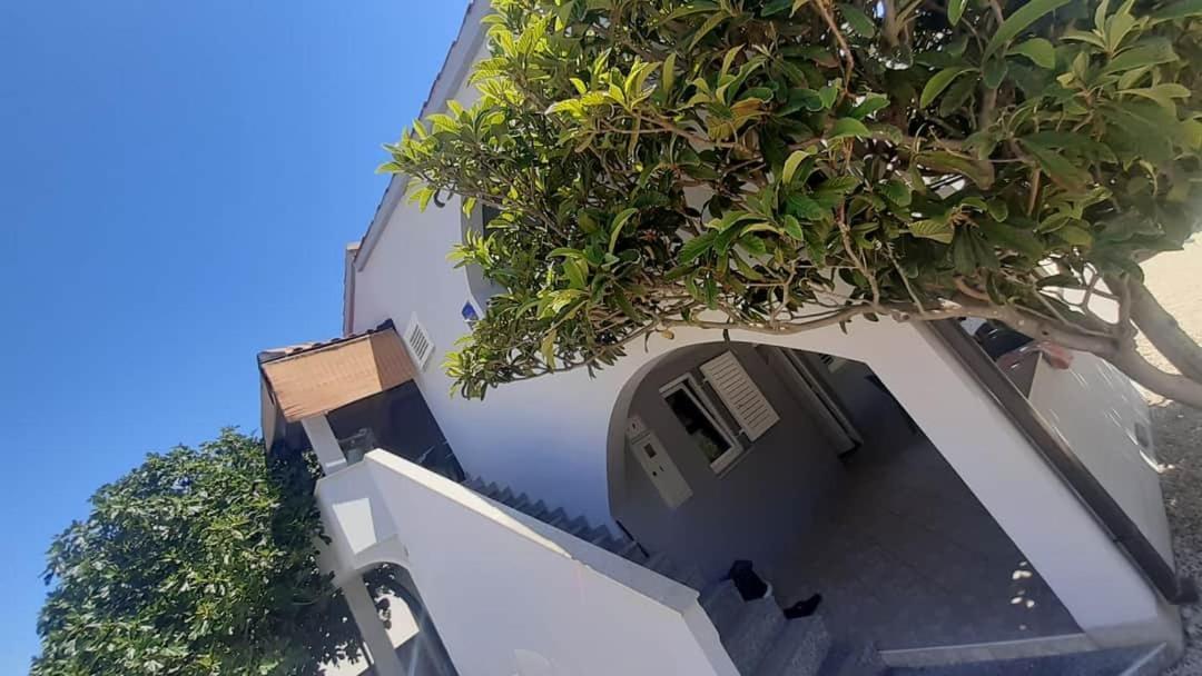 Apartments Ankora Vir Zewnętrze zdjęcie